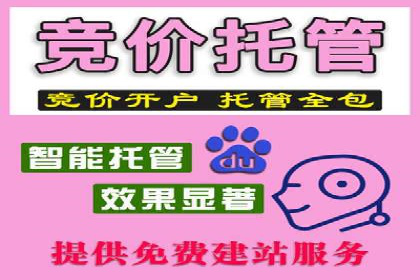 揭秘SEM代运营的成功要素与策略